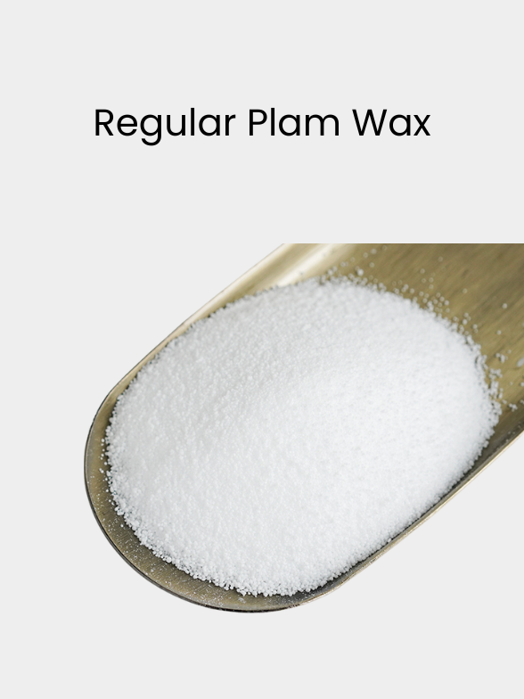 Regular Palm Wax ∙ 500g