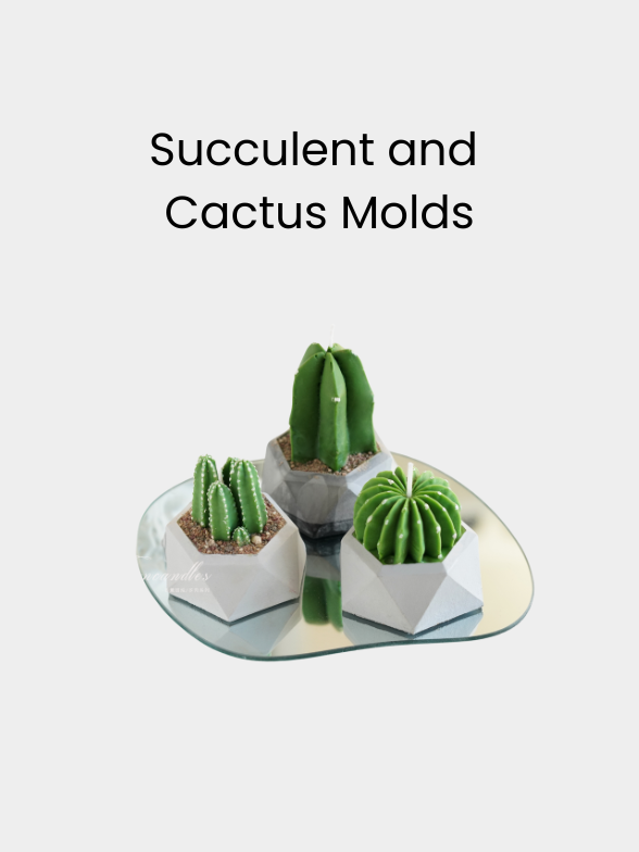 Succulent and Cactus Molds