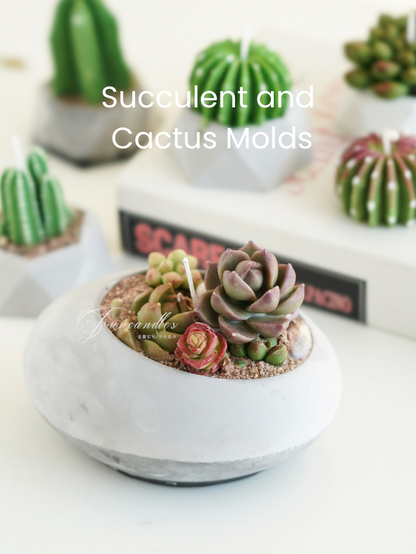 Succulent and Cactus Molds