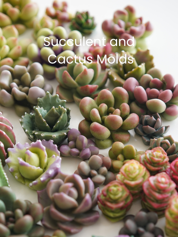 Succulent and Cactus Molds