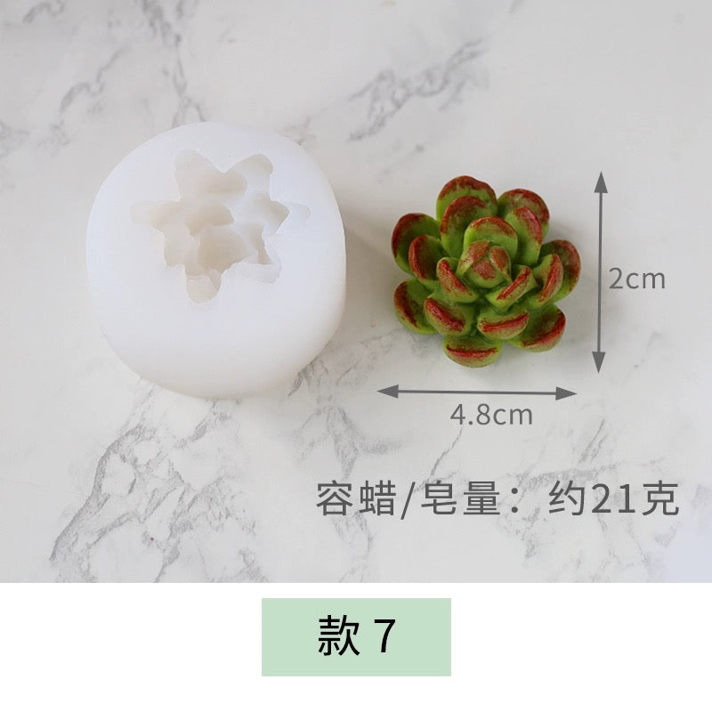 Succulent and Cactus Molds