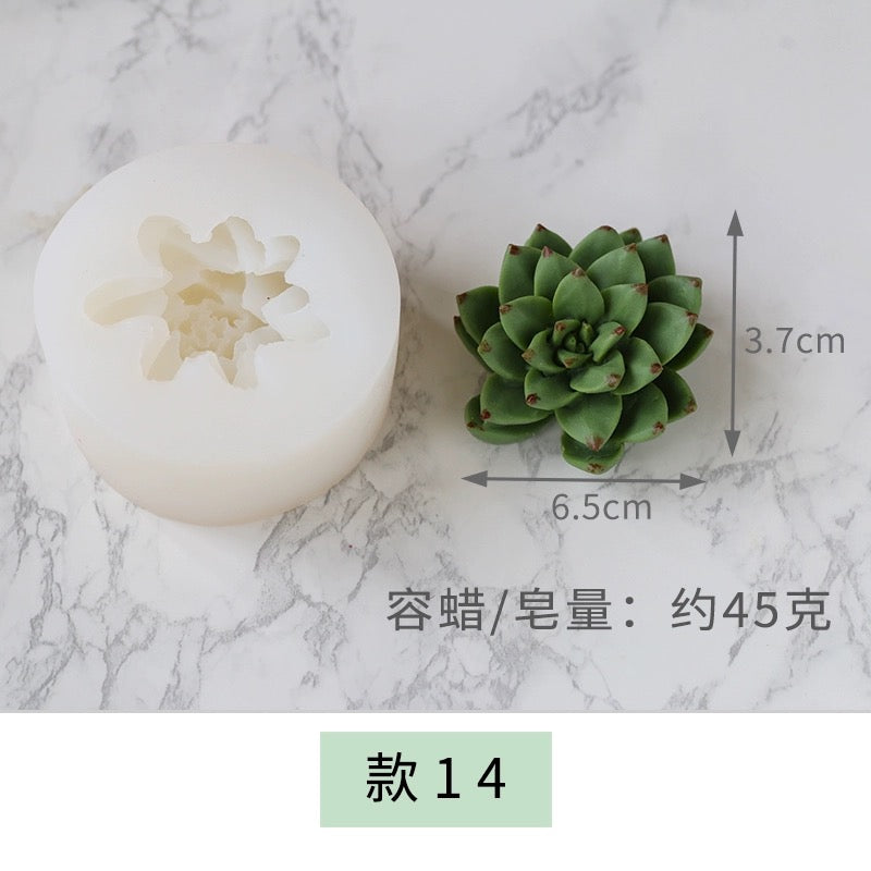 Succulent and Cactus Molds