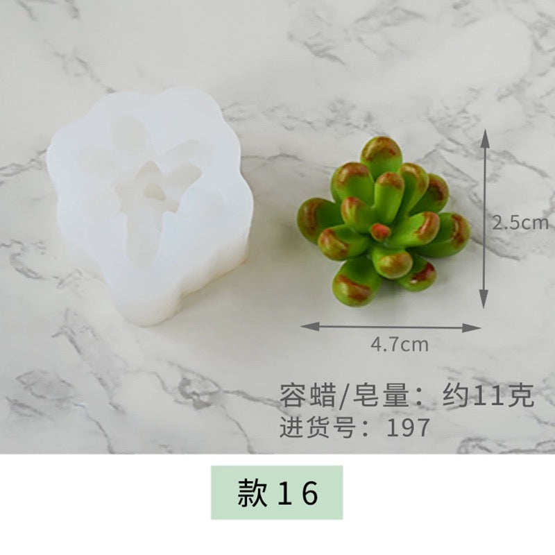 Succulent and Cactus Molds