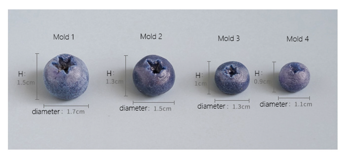 Blueberry Mold