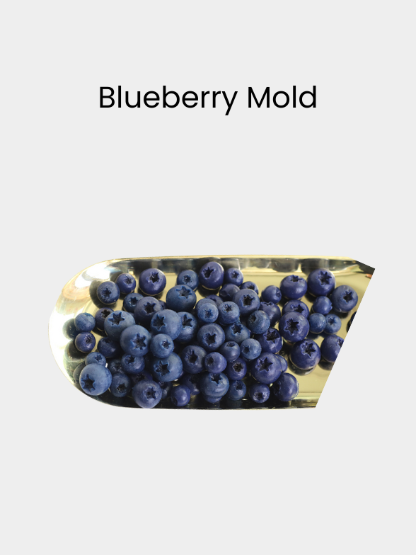 Blueberry Mold