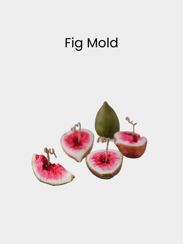 Fig Mold