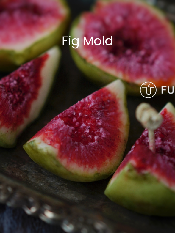 Fig Mold