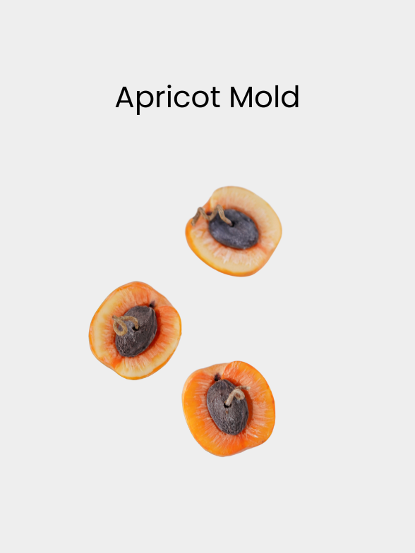 Apricot Mold